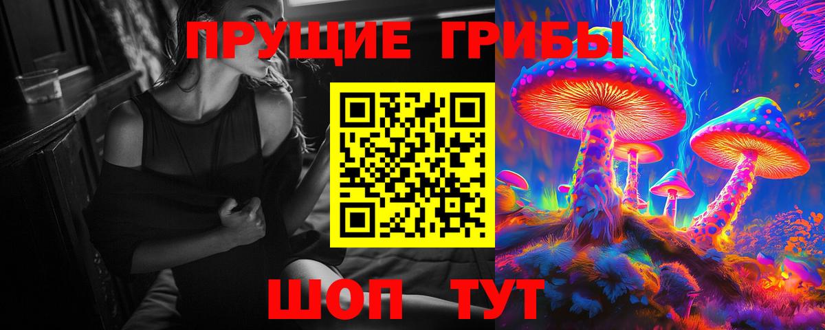 Лениногорск  Галлюциногенные грибы Psilocybine cubensis  Вход с VPN  Галлюциногенные грибы MAGIC MUSHROOMS 