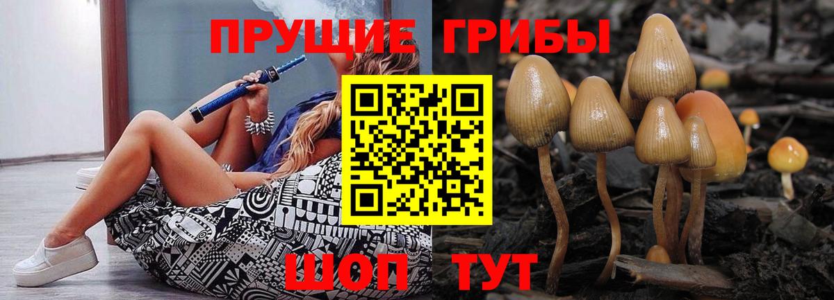 Галлюциногенные грибы Magic Shrooms Лениногорск